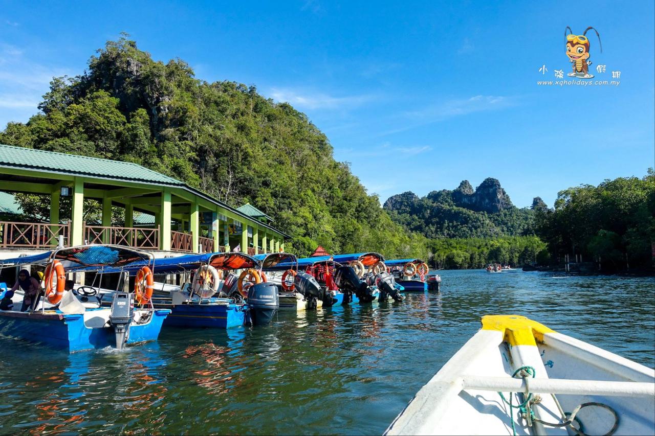 Jelajahi Keindahan Mangrove Langkawi dengan Tur Unik